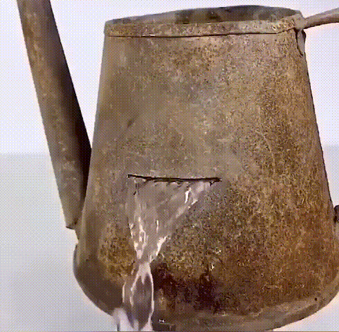 1747819561520897.gif