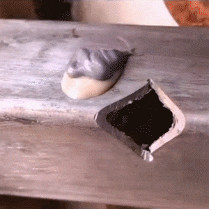 1747819567134637.gif