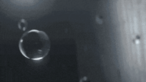 1747820075485073.gif